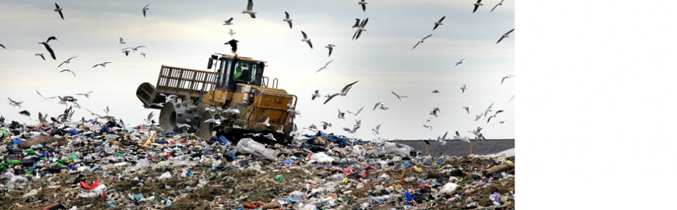 Leading the Way in Waste Management